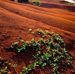 Xbox与世界特殊奥林匹克运动会合作 举办电竞赛事
